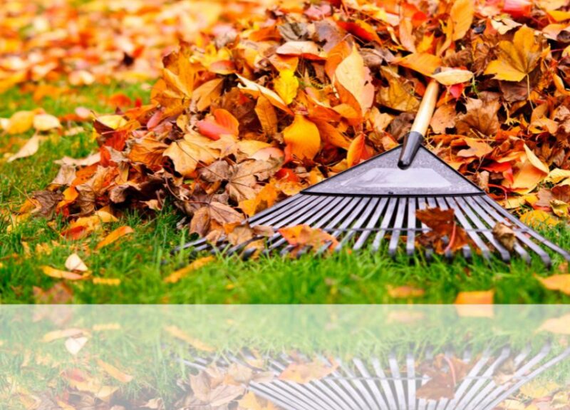 fall raking